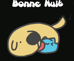 bonne nuit chien et chat